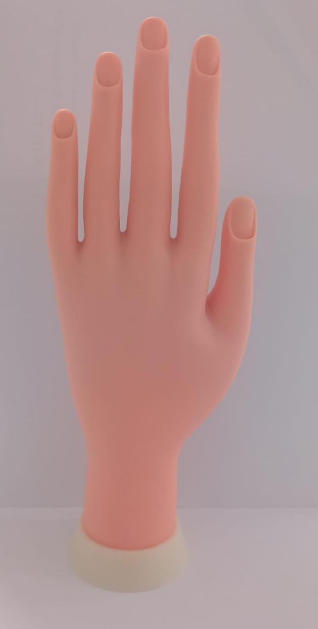 Mano de Práctica Económica